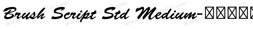 Brush Script Std Medium字体转换